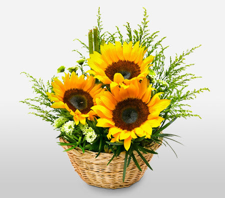 flower basket 15